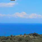 Fiore Hill Sea View
