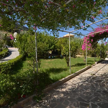 Fiore Hill Sea View Studios Vasilikos (Zakynthos)
