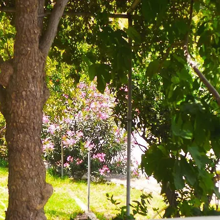 Апартаменты Fiore Hill Sea View Василикос